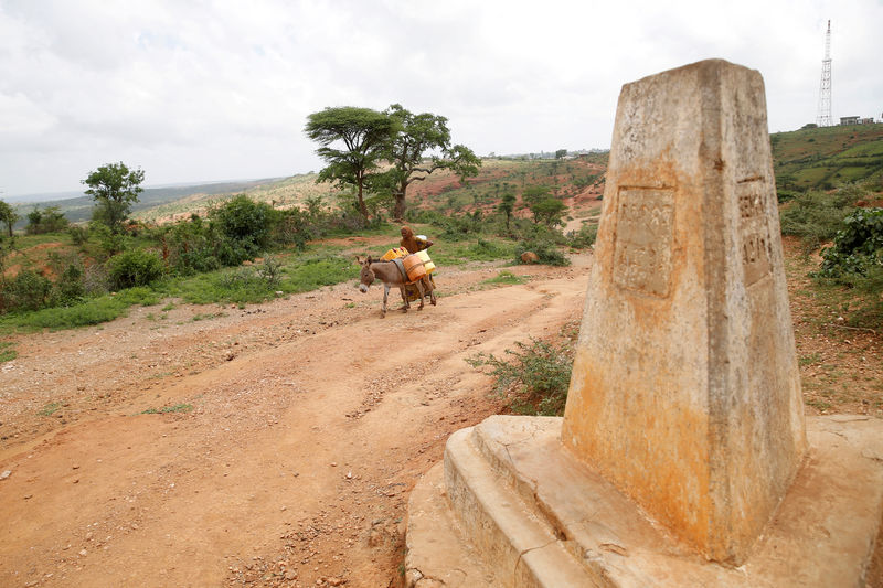 © Reuters. FILE PHOTO: A woman walks a donkey pass a stone marking the Ethiopian-Kenyan border near the town of Moyale