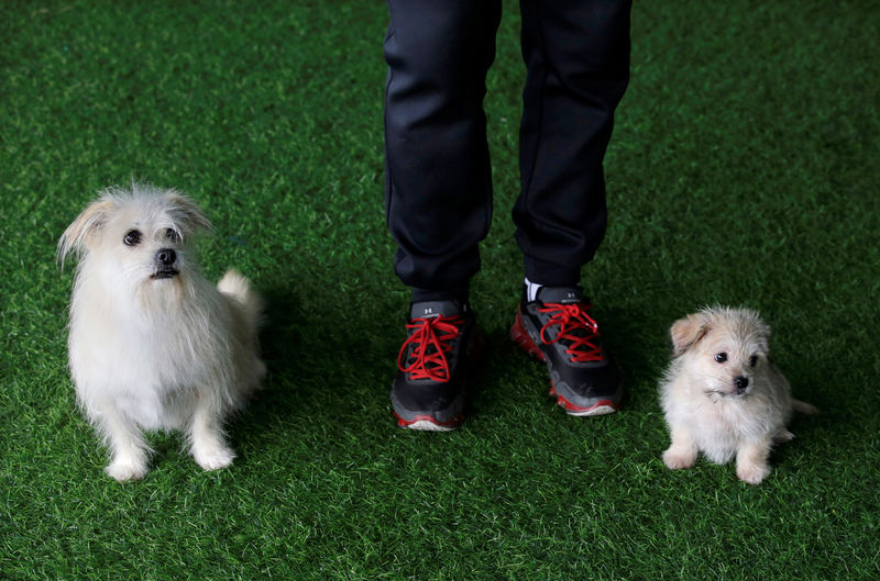 © Reuters. He Jun posa com seu cachorro Juice e seu clone em Pequim, na China