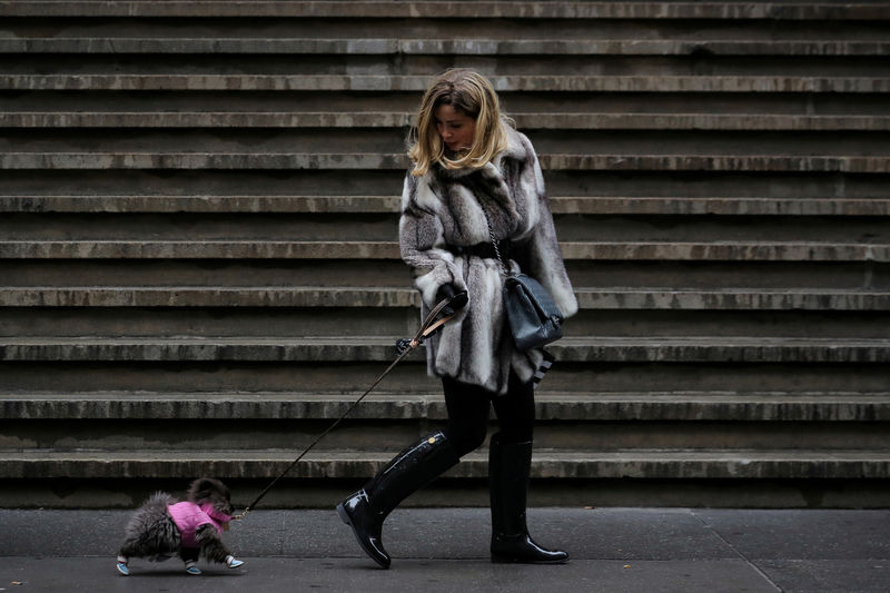 © Reuters. A woman walks her dog on Wall St. during a cold day in New York