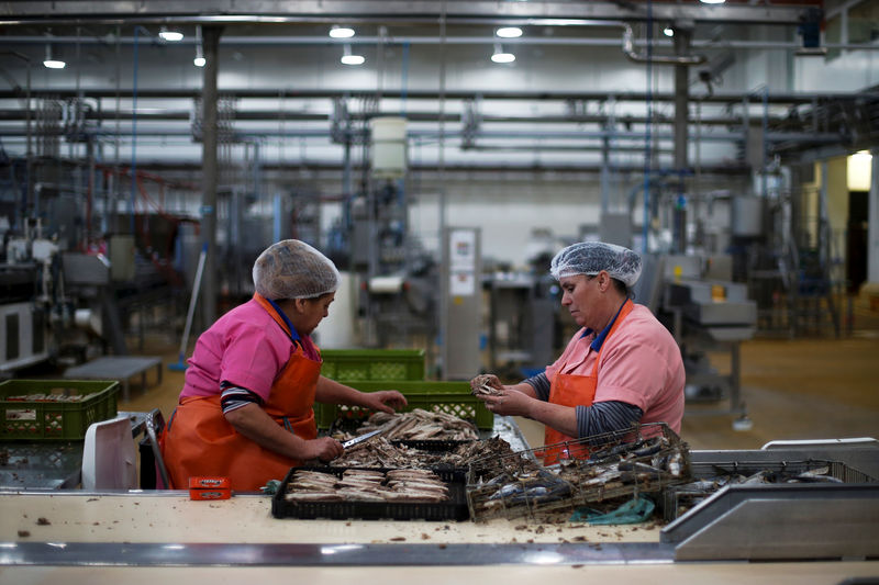 © Reuters. Mulheres trabalham em fábrica em Matosinhos, Portugal