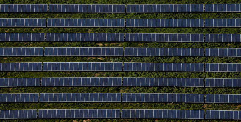 © Reuters. General view of photovoltaic (solar) panels near Munich
