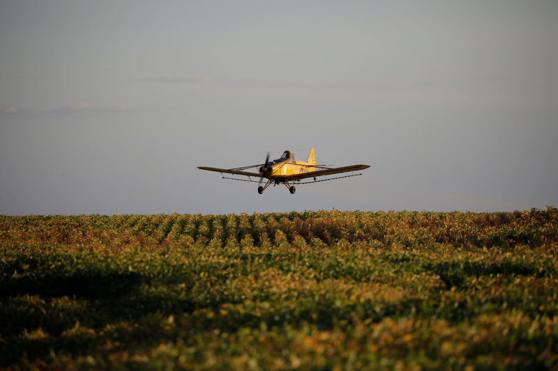 © Reuters. Avião sobre um campo de soja em Palmeirante.