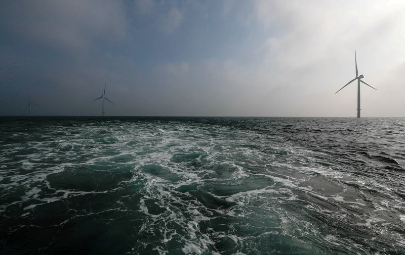 © Reuters. FILE PHOTO: Power-generating windmill turbines are seen at the Eneco Luchterduinen offshore wind farm near Amsterdam