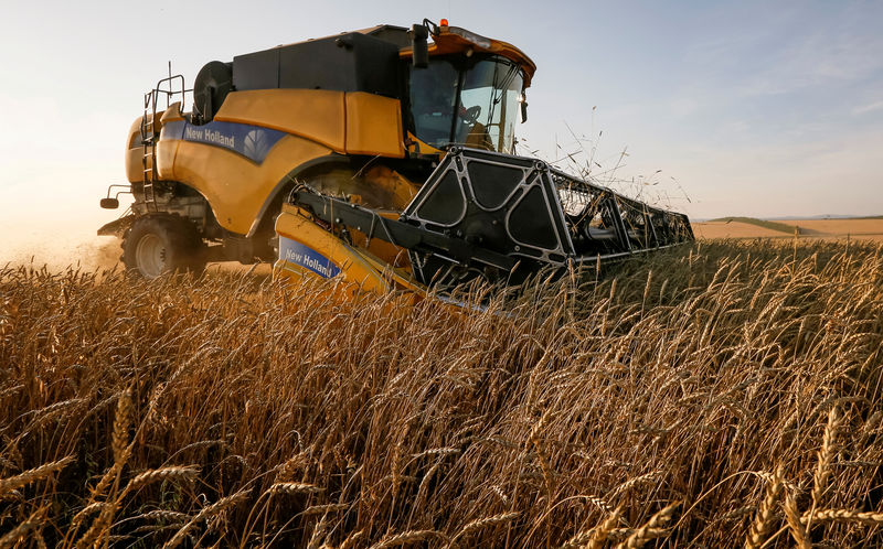 © Reuters. Комбайн убирает урожай пшеницы в поле вблизи поселка Тальники Красноярского края