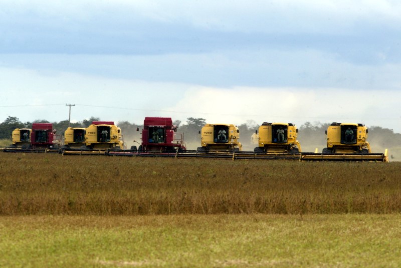 Ministério reduz previsão para valor bruto da produção agropecuária de 2019