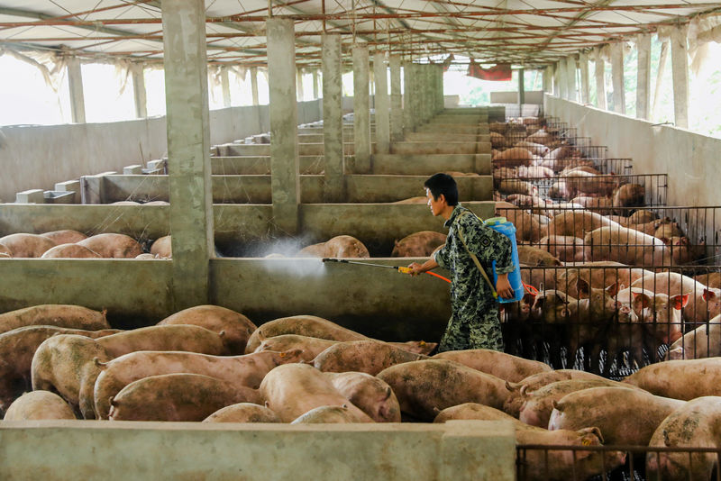 China libera mais plantas argentinas para exportações de carne