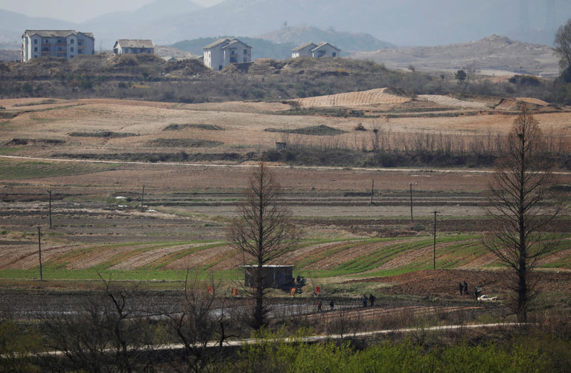 北朝鮮、今年の作物生産は5年ぶり低水準　食糧不足深刻に＝国連