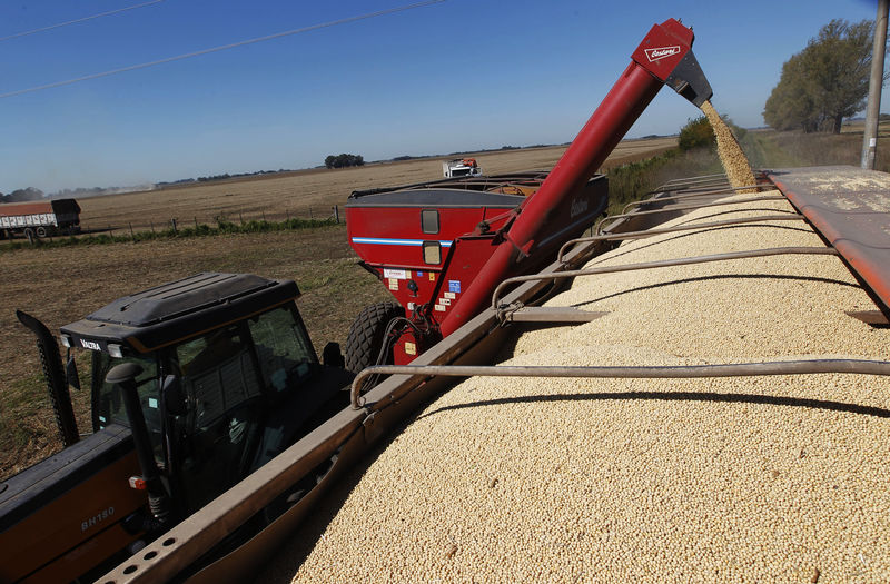 China habilita 7 plantas argentinas para exportação de farelo de soja