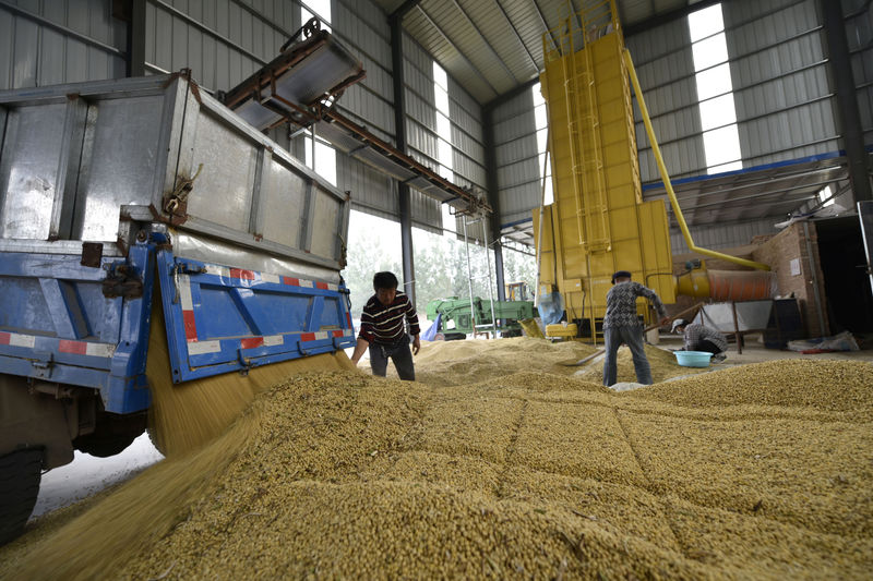 China grants new tariff waivers for U.S. soybean imports: Bloomberg