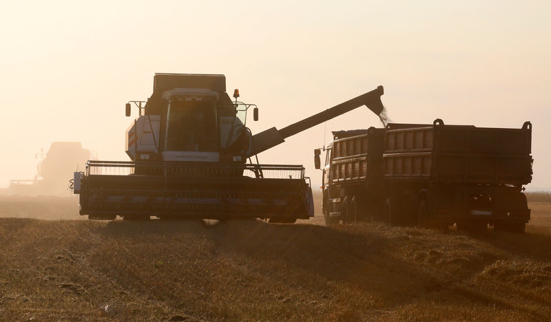 Rusia duplicará con creces su suministro de cereales a Venezuela -Ifax