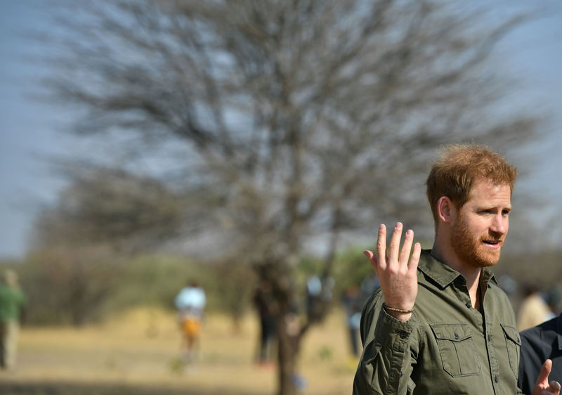 الأمير البريطاني هاري يسافر إلى بوتسوانا في محطة جديدة من جولة أفريقية
