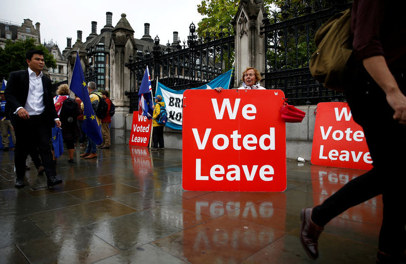 © Reuters. FILE PHOTO: Pro-Brexit protester holds a placard in Westminster, London