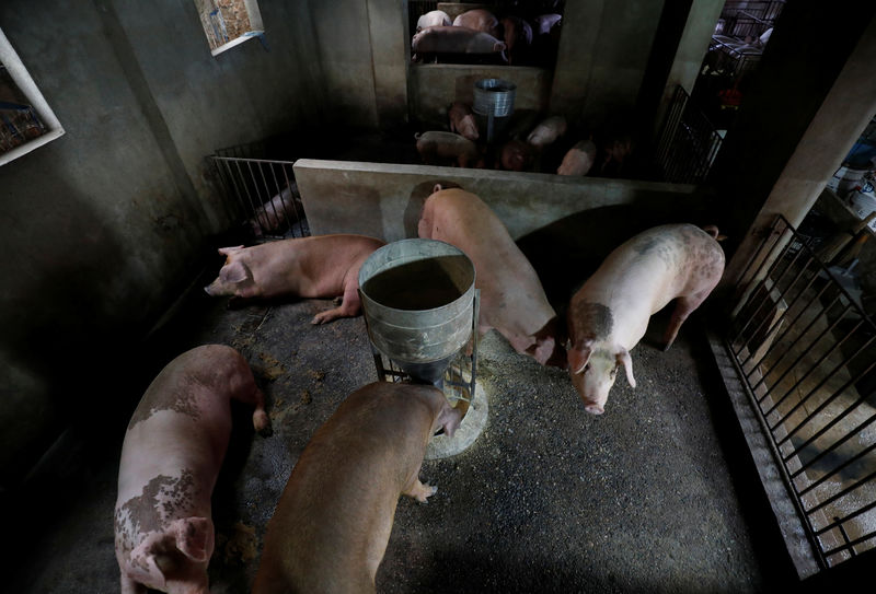 Southeast Asia catches swine fever, U.S. crop exporters get the chills