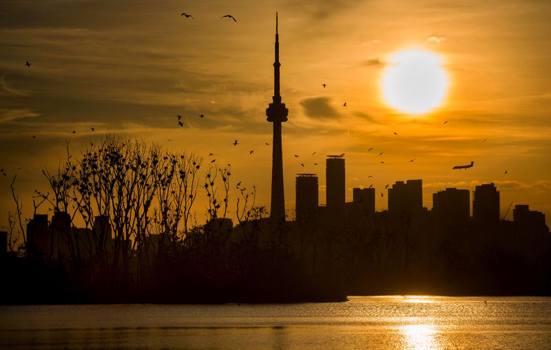 © Reuters. FILE PHOTO: Wider Image: Earthprints: Leslie St Spit