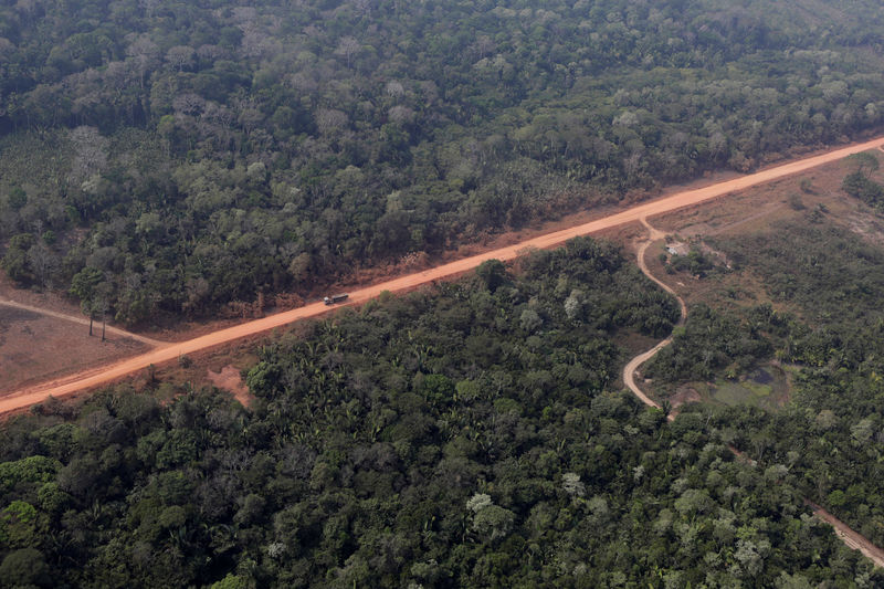 © Reuters. Vista aérea de la carretera BR-319 cerca de Humaitá, Amazonas, Brasil.
