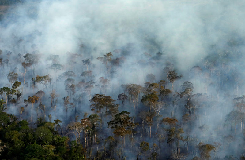 Chuvas e operação militar ajudam a reduzir incêndios na Amazônia em setembro