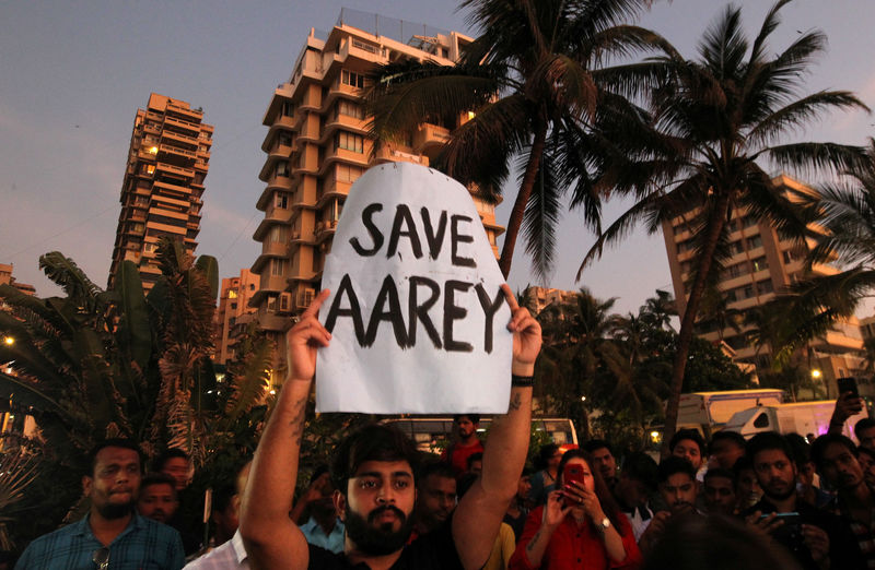 India's Supreme Court halts tree felling for new Mumbai metro