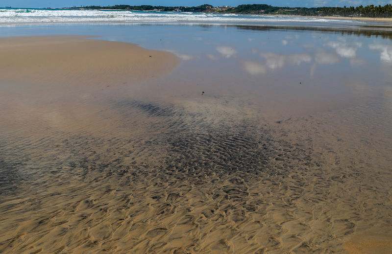 © Reuters. An oil spill is seen on Praia do Paiva beach in Cabo de Santo Agostinho