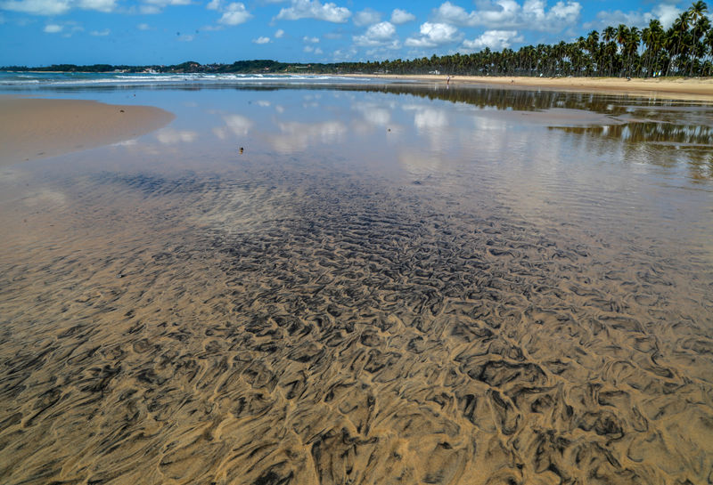 © Reuters. Mancha de óleo na praia do Paiva, em Pernambuco