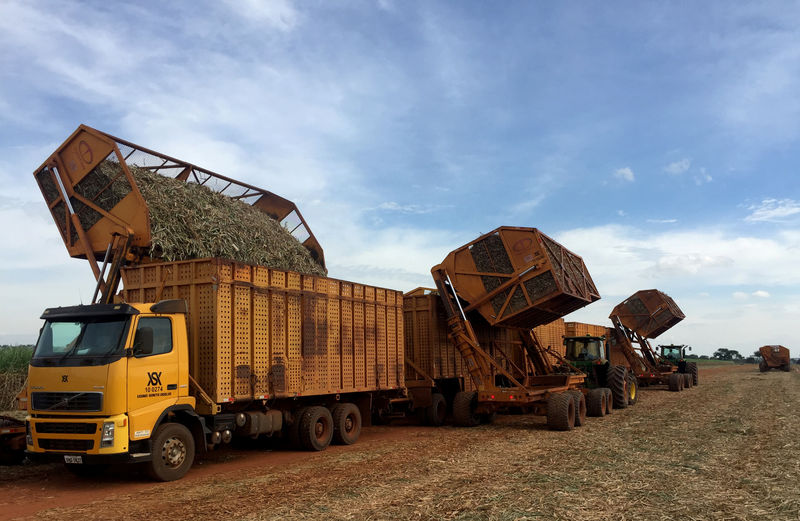 Produção de açúcar e etanol dispara na 2ª quinzena de setembro