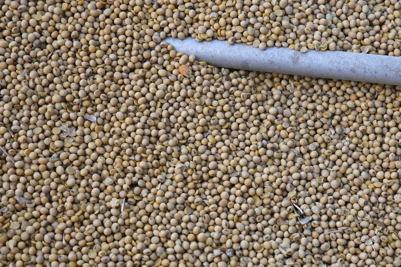 China buys more U.S. soybeans, record volume of pork ahead of trade talks