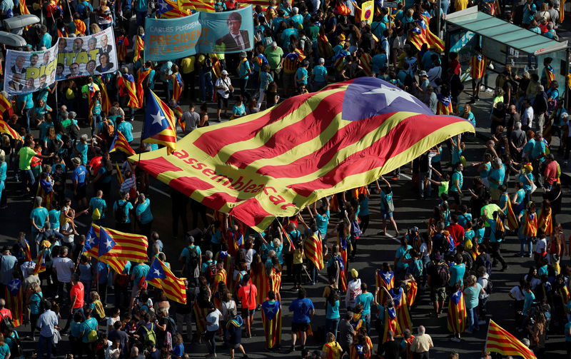© Reuters. FILE PHOTO: People hold a giant "Estelada" (Catalan separatist flag) at a rally during Catalonia's national day 'La Diada' in Barcelona