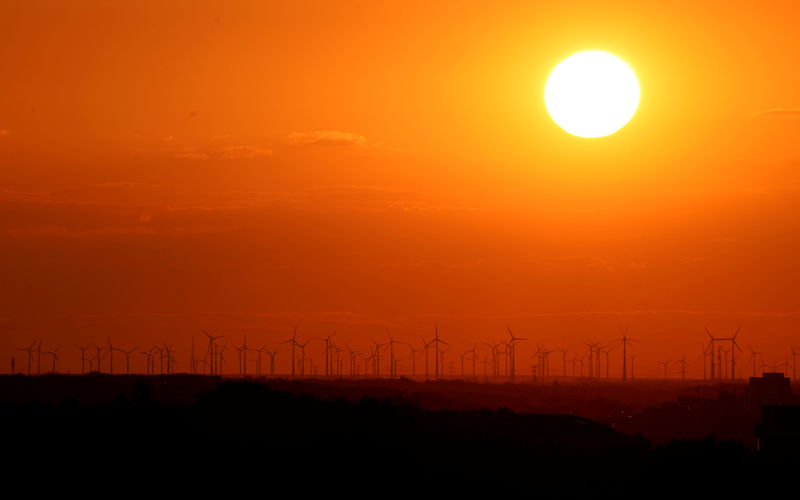 © Reuters. FILE PHOTO: Power-generating windmill turbines are pictured during sunset from the  Drachenberg hill in Berlin