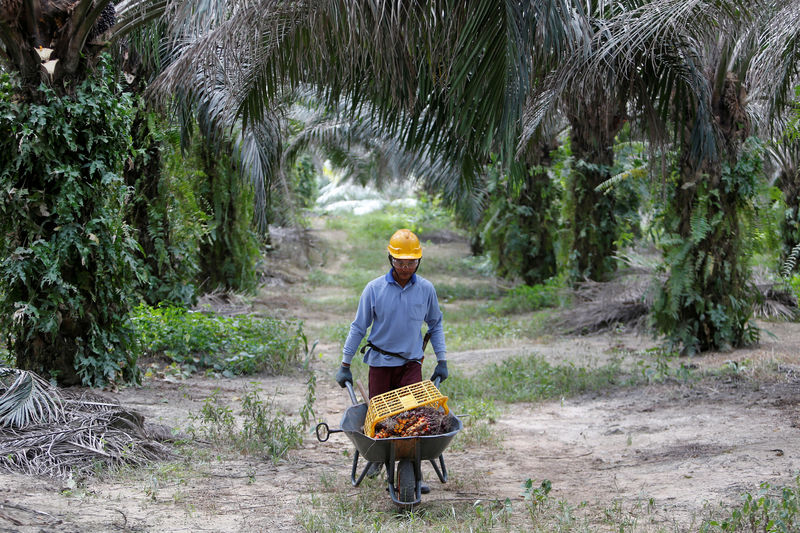 Palm oil body to wield stick to get consumer goods giants to go green