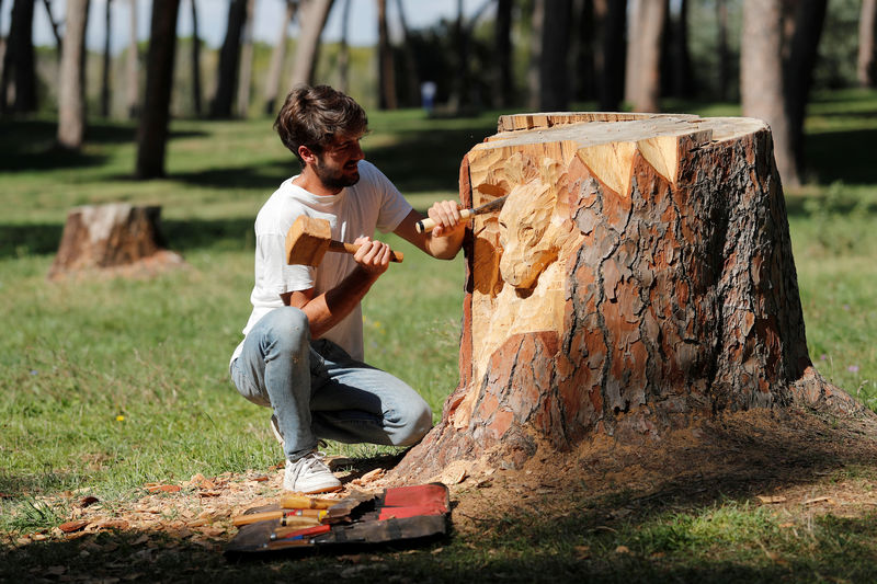 شاب إيطالي يحول جذوع الأشجار الميتة في روما إلى منحوتات فنية