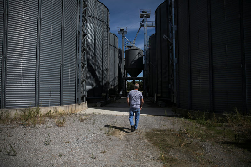 © Reuters. Kruger walks on his farm in Harrod, Ohio