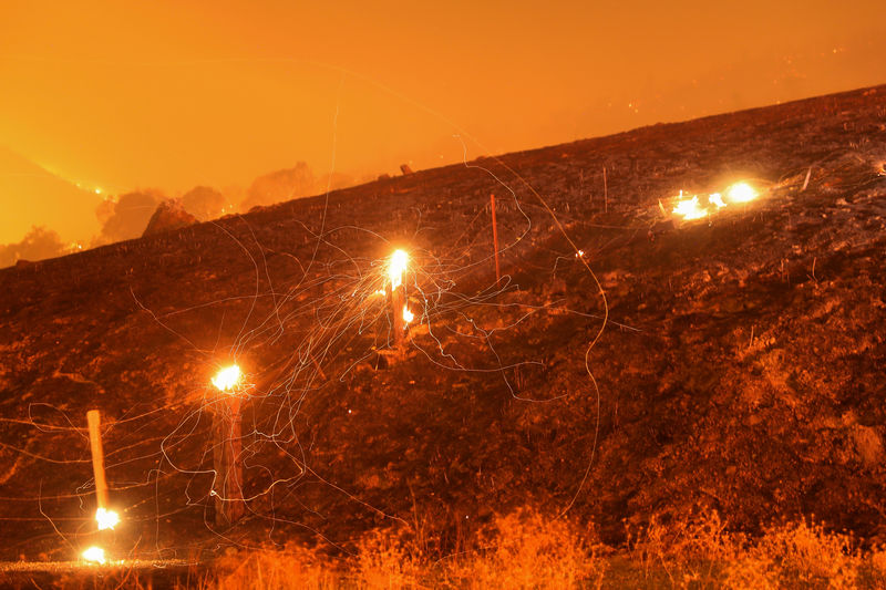 © Reuters. Incêndio florestal destrói cercas perto de Geyserville, na Califórnia