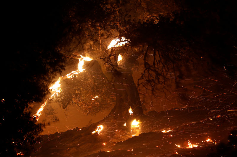حريق غابات في كاليفورنيا يدفع 2000 شخص للفرار من منازلهم