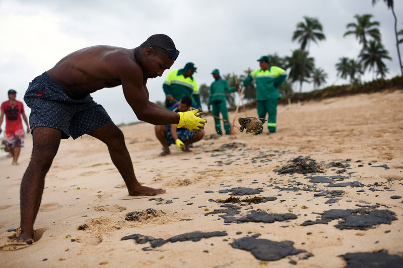 Limpeza de óleo em praias do Nordeste deixa voluntários doentes