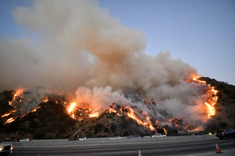 Incêndios florestais em Los Angeles destroem casas e forçam retirada de mais 1.300 moradores