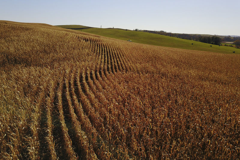 Rain, early snows delay U.S. harvest in latest blow to farmers