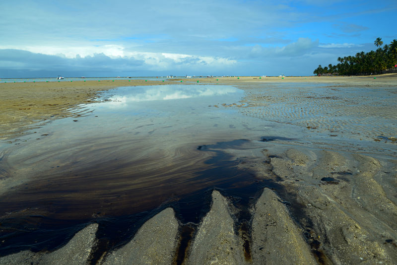 © Reuters. Derramamento de petróleo na praia dos Carneiros, em Tamandaré (PE)
