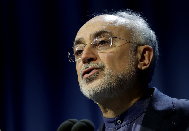 © Reuters. Chefe do programa nuclear iraniano, Ali Akbar Salehi