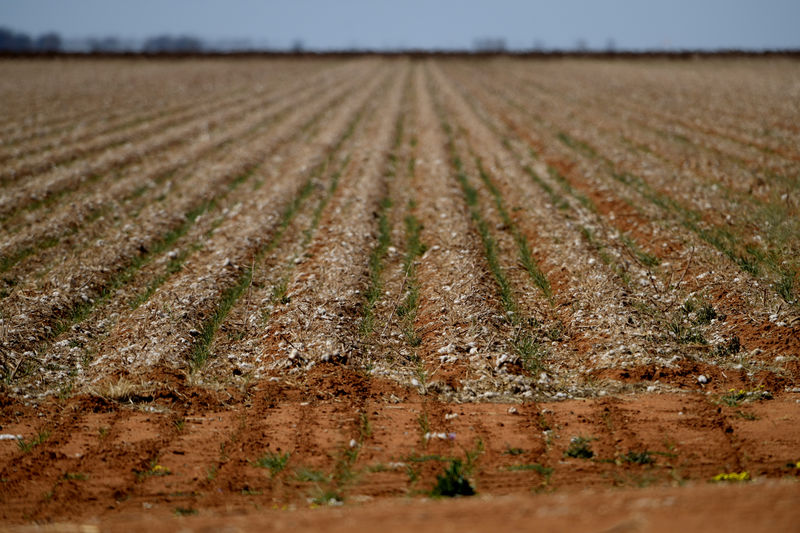 Australia to offer farmers hurt by drought up to $688 million in cheap loans, grants