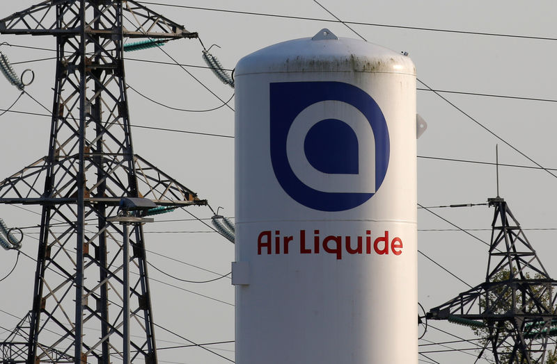 Exclusive: Air Liquide puts German disinfectants maker Schuelke on the block - sources