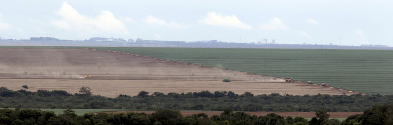 Operadores de grãos se opõem a proposta de moratória da soja no Cerrado