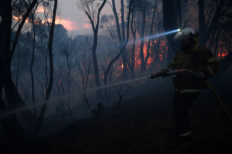 © Reuters. A NSW Rural Fire Service firefighter conducts property protection as a bushfire burns close to homes on Railway Parade in Woodford NSW