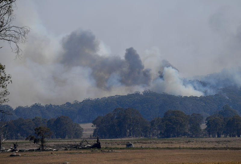 オーストラリア東部で大規模火災の恐れ、住民らに避難指示