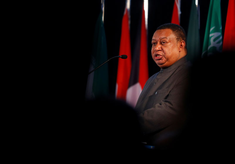 © Reuters. OPEC Secretary General Barkindo delivers his speech in Vienna