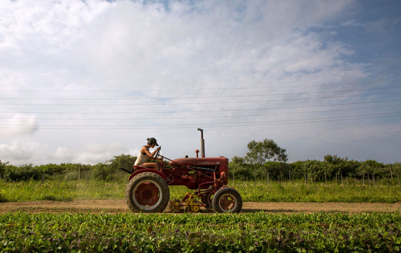 U.S. farmers to leverage land as farm economy deteriorates: survey