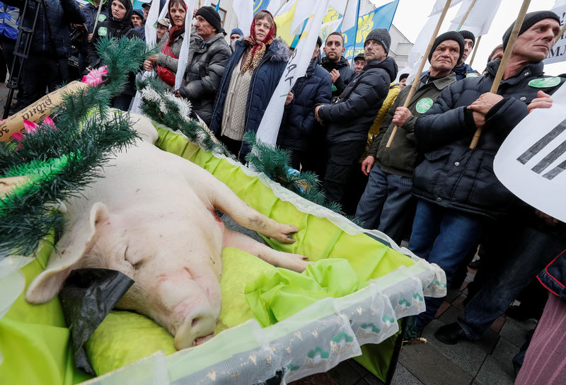 © Reuters. A coffin with a dead pig inside is seen as agricultural workers, rural landowners attend a rally to protest against land reform in front of the parliament building in Kiev