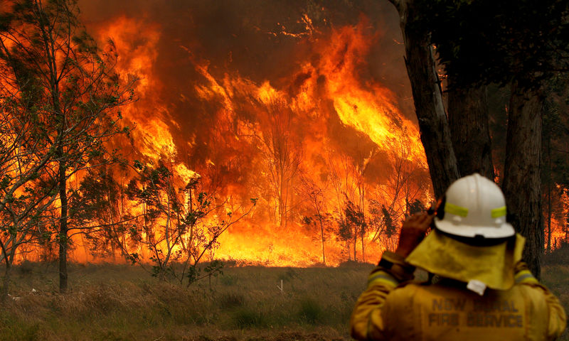 Inundação, fogo e praga: mudança climática é considerada culpada por desastres pelo mundo