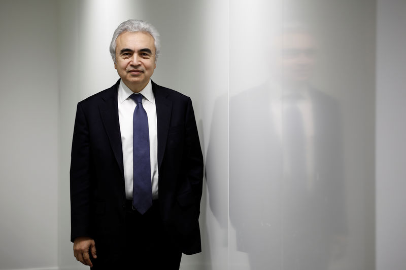 © Reuters. FILE PHOTO: Fatih Birol, Executive Director of the International Energy Agency poses for a portrait at their offices in Paris