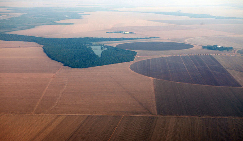 © Reuters. Vista aérea de plantação de soja no Mato Grosso