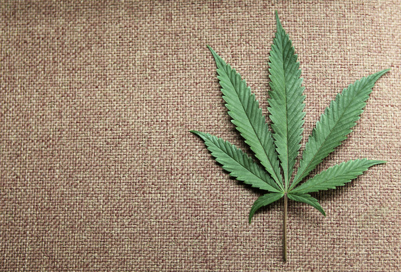 © Reuters. A marijuana leaf is displayed at a medical marijuana dispensary in Seattle