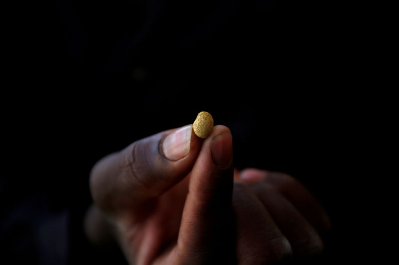 © Reuters. FILE PHOTO: An artisanal gold miner holds a gold nugget at an unlicensed mine in Gaoua, Burkina Faso